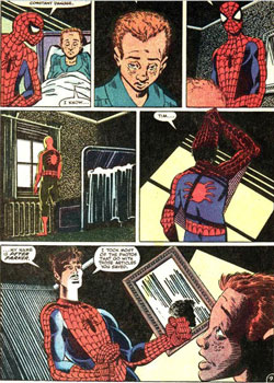 mejores cómics de Spiderman el niño que coleccionaba spiderman